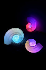 Load image into Gallery viewer, Nautilus Night Light Table lamp